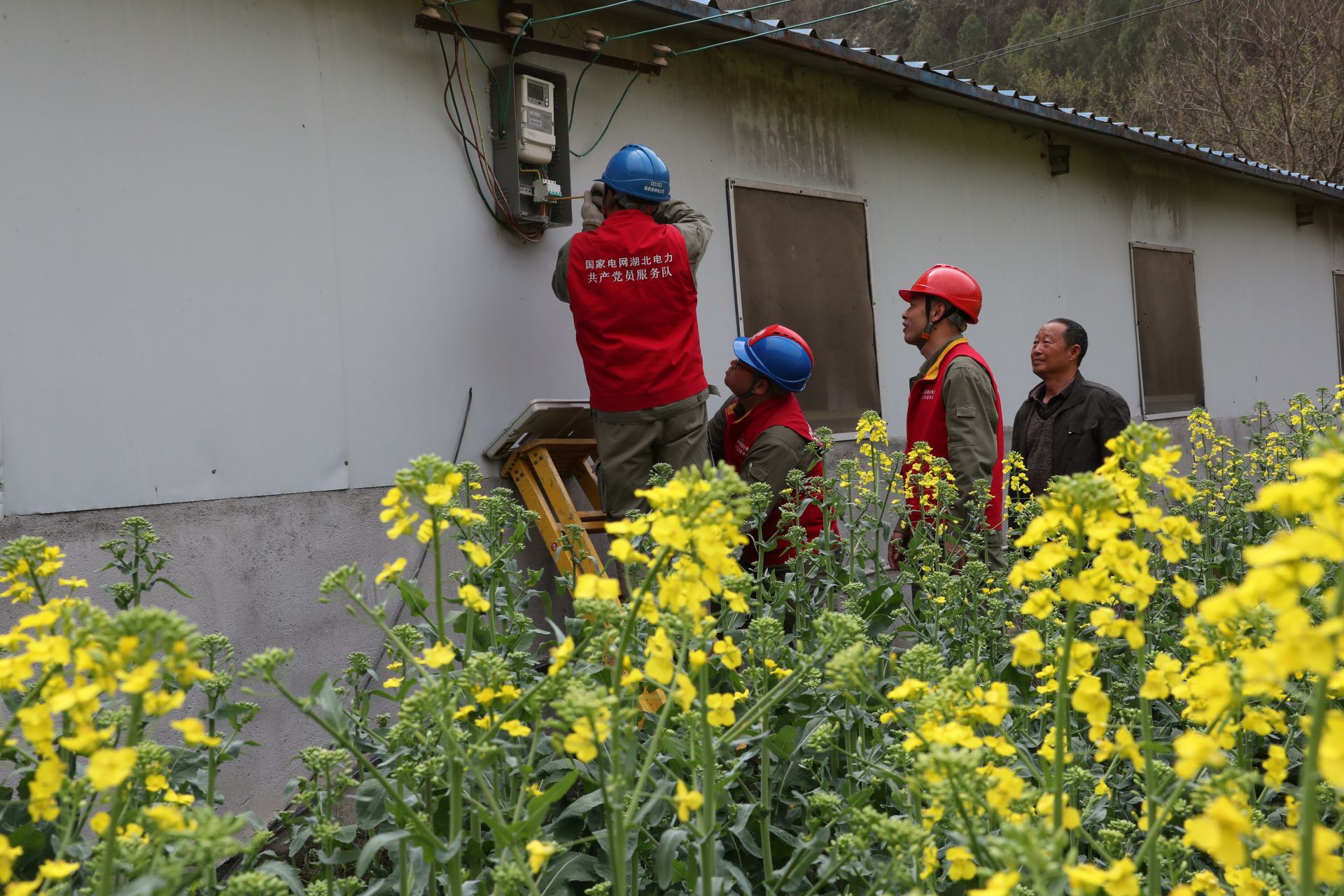 保康供電育蛙房用上了滿格電