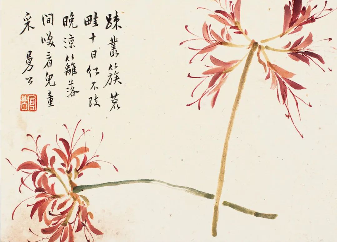 赏析陈鸿寿花卉十二册