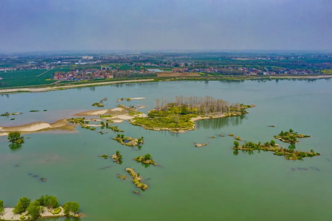 珍禽云集长寿岛国家湿地公园_云上襄阳