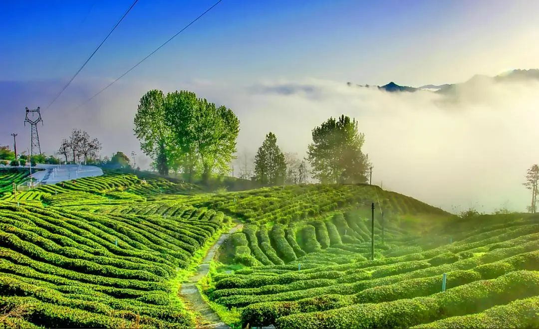 龙王垭毗邻竹溪县城,曲径通幽处藏着一个世外桃源,没有车马纷扰,只有