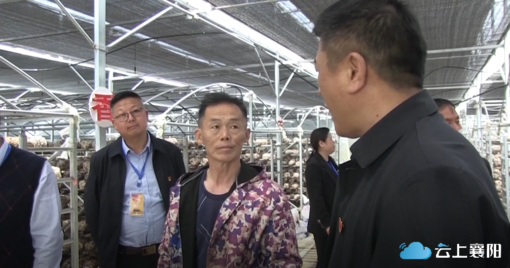 2022-05-28整期节目回放来源:襄阳广电综合频道记者:王全利 肖璐琳