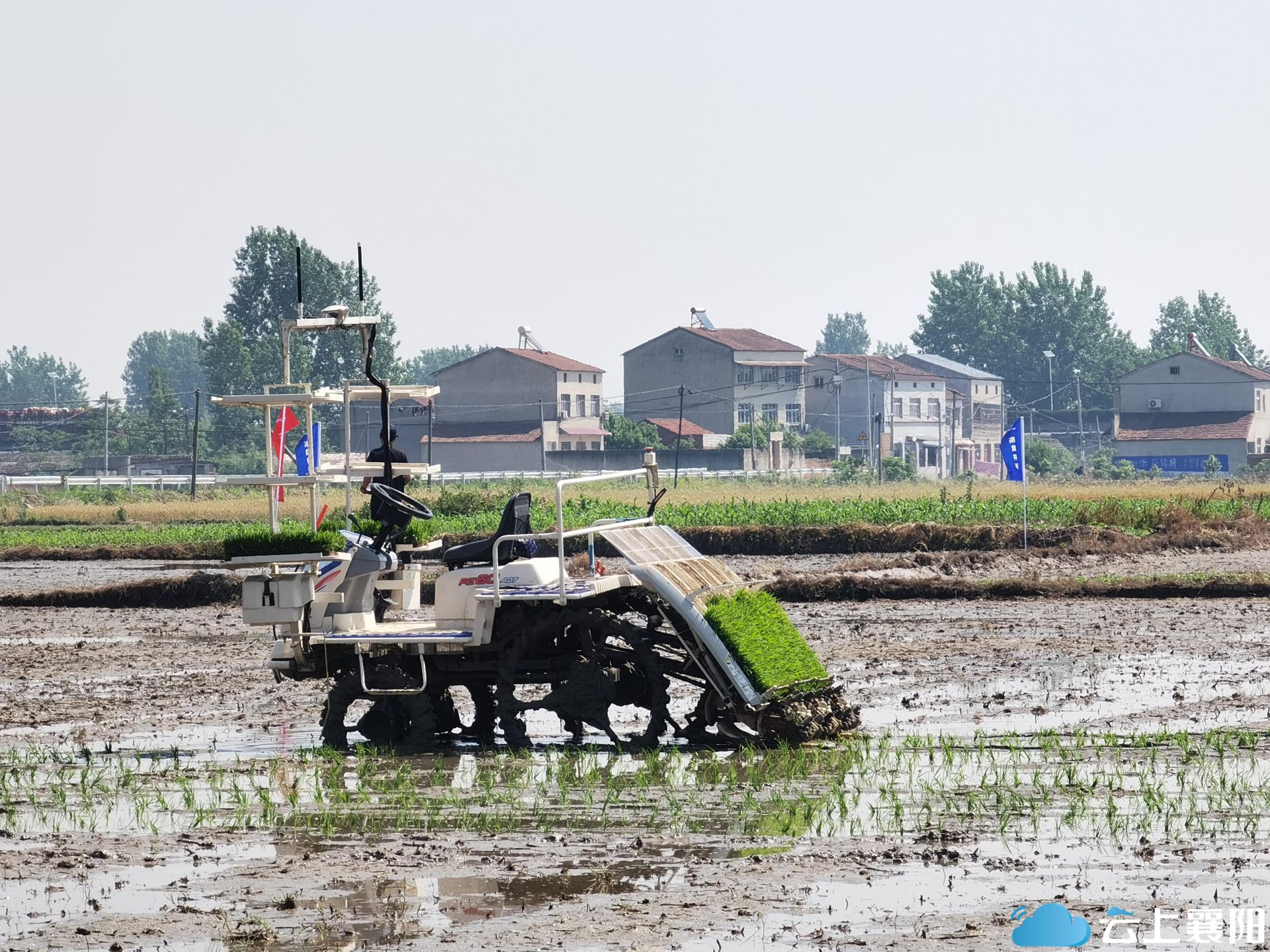 襄阳市首次开展无人驾驶机插秧活动