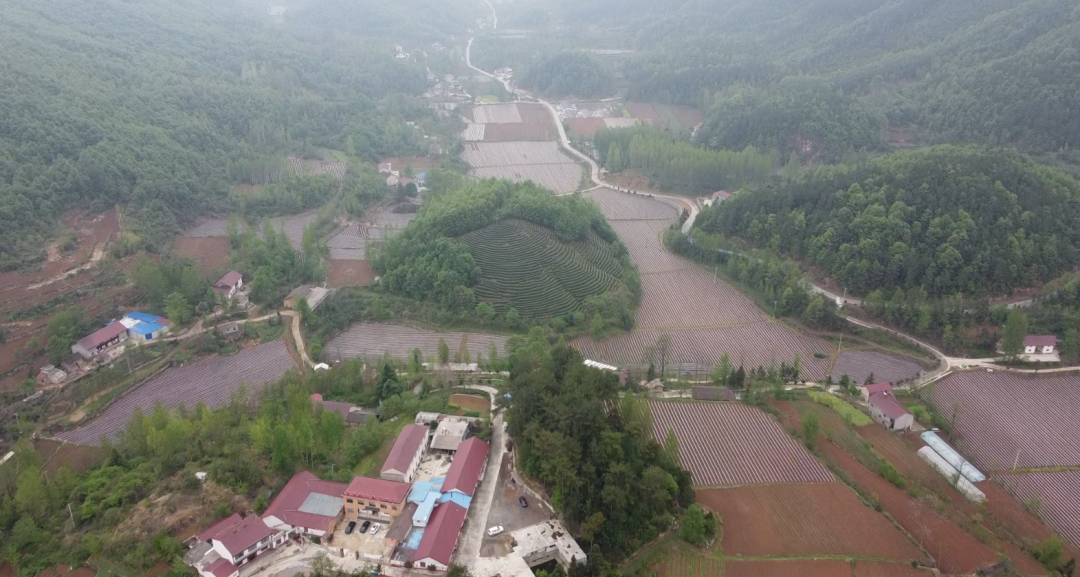 板桥镇 228ead22ed29fcb9b997920e42bc3425.png