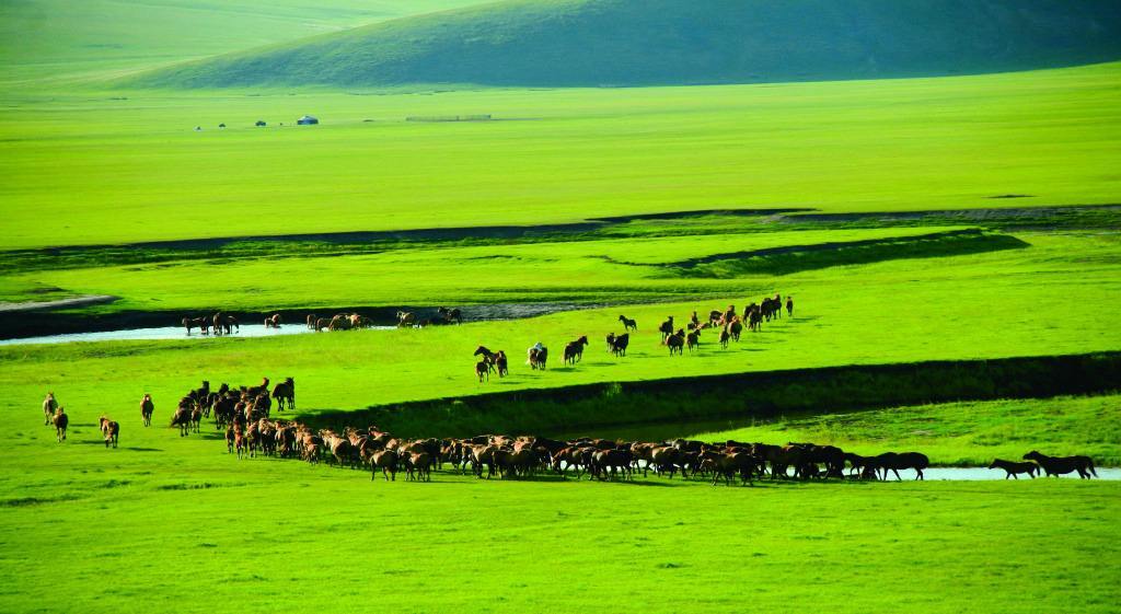  内蒙古80家A级旅游景区全年免门票