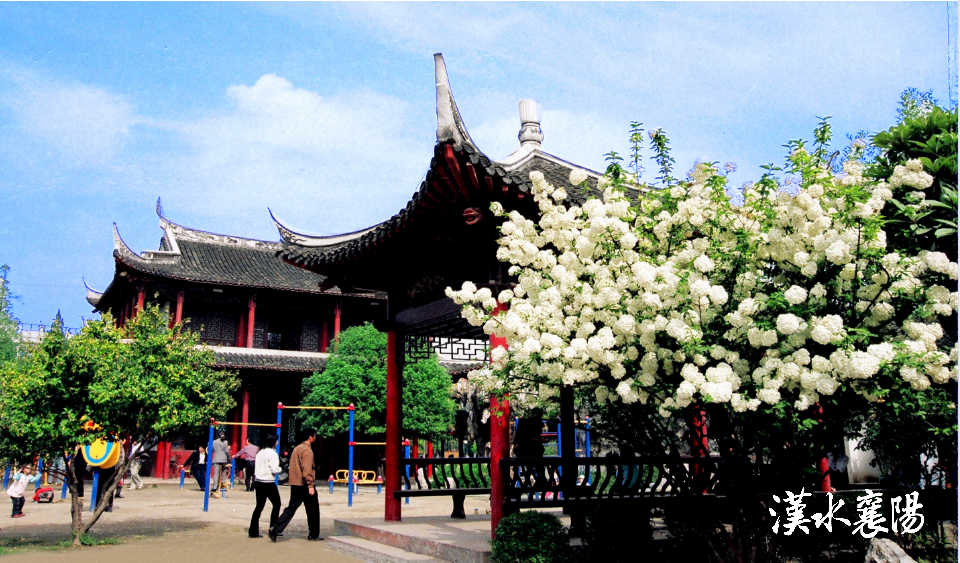 走进人民公园,首先看到的是广玉兰, 高大挺拔,树形古朴,花朵洁白,颇有