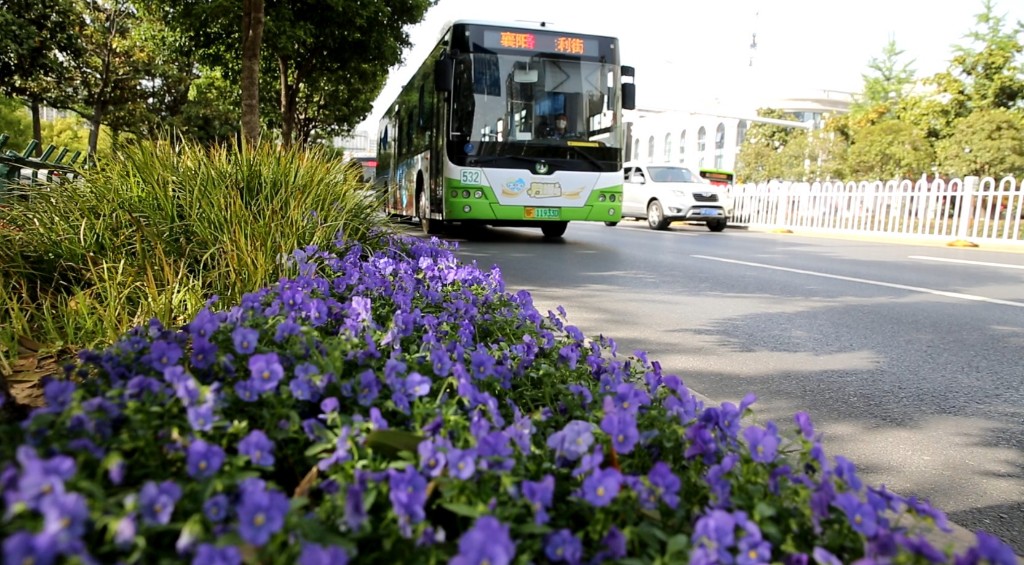 万山(梅花园):6路,24,511,543,512,533,g03,襄阳野生动物世界.