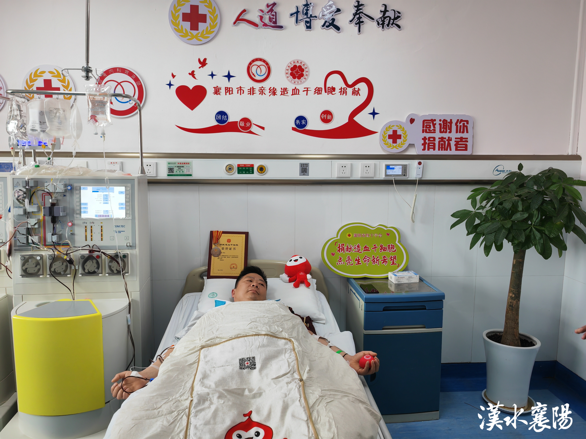 全省首例捐献在襄阳