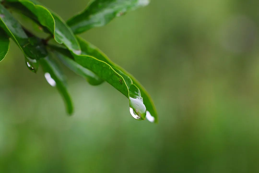  阴雨短暂造访，随后多云升温！