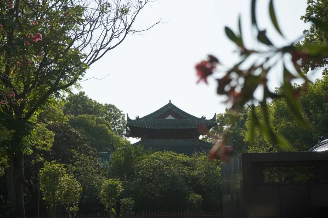DSC07649.JPG