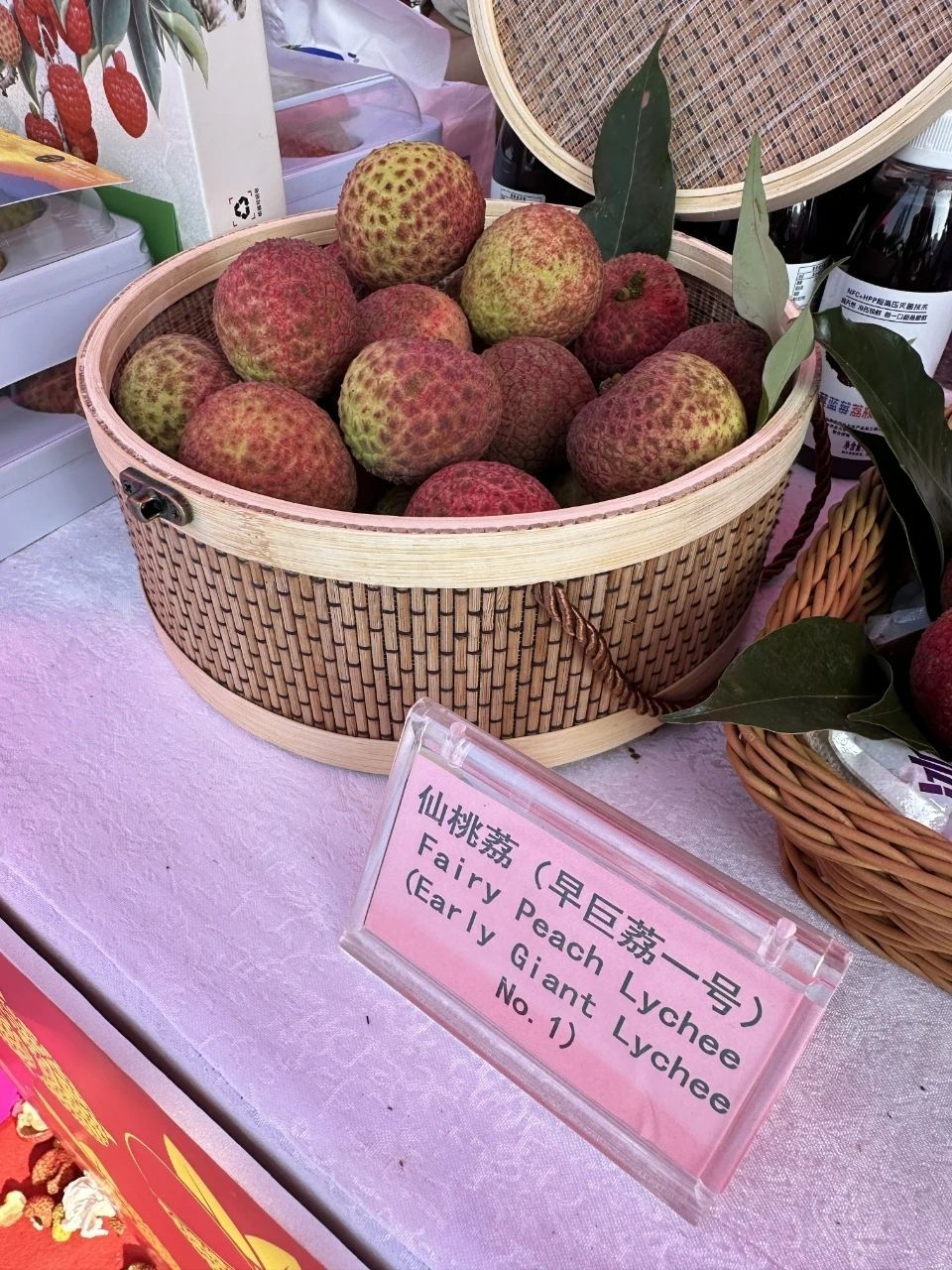 微信图片_20250619050832.jpg
