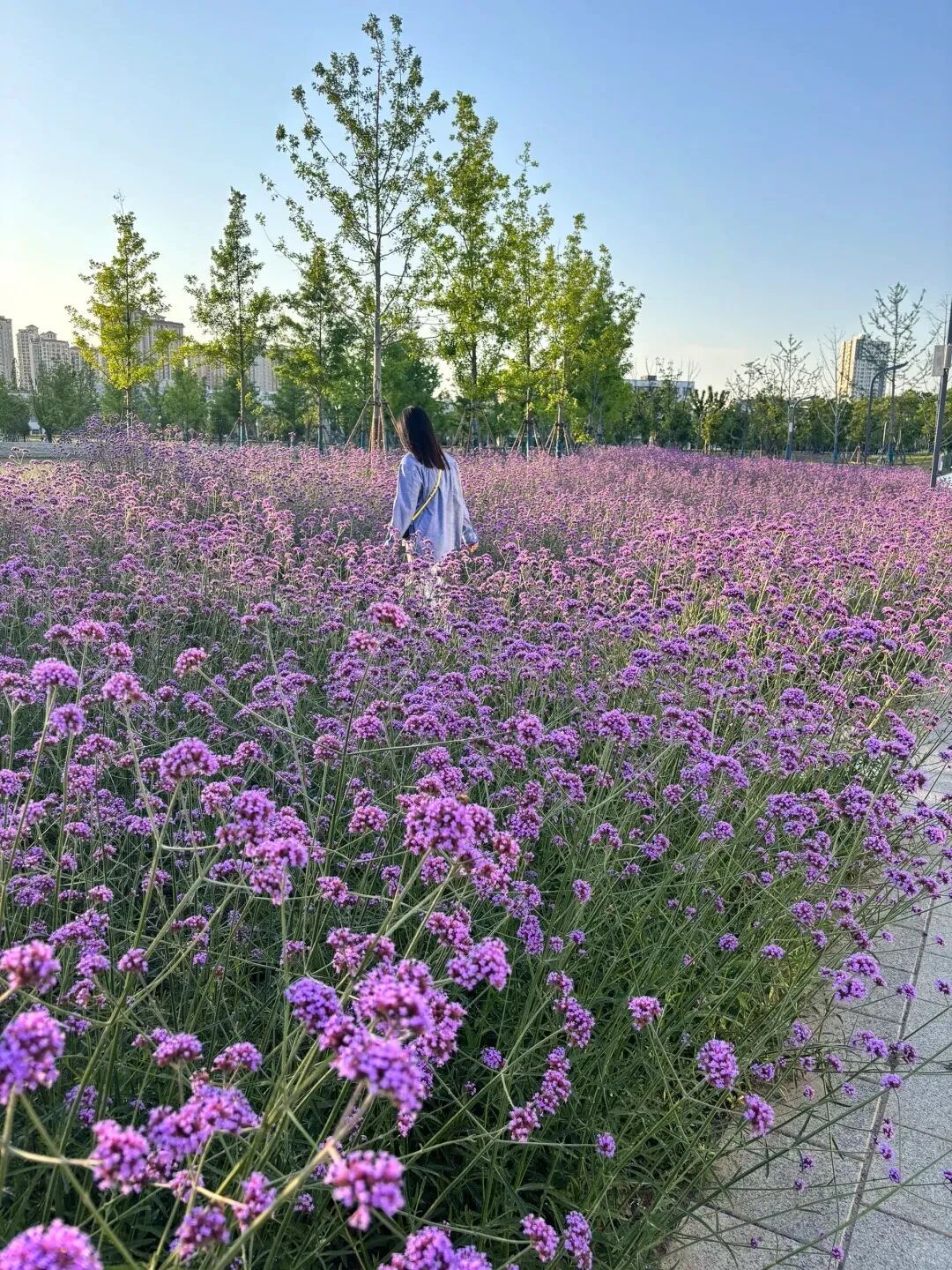 襄阳被严重低估的公园 几乎没人!_6_Myaoon米呀_来自小红书网页版.jpg