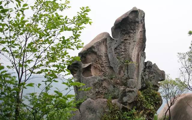 郑家山虚怀若谷岁月静好