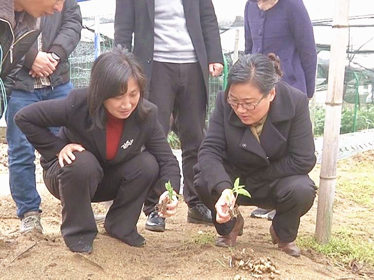 赵少莲实施三乡工程力推乡村振兴战略落地落细