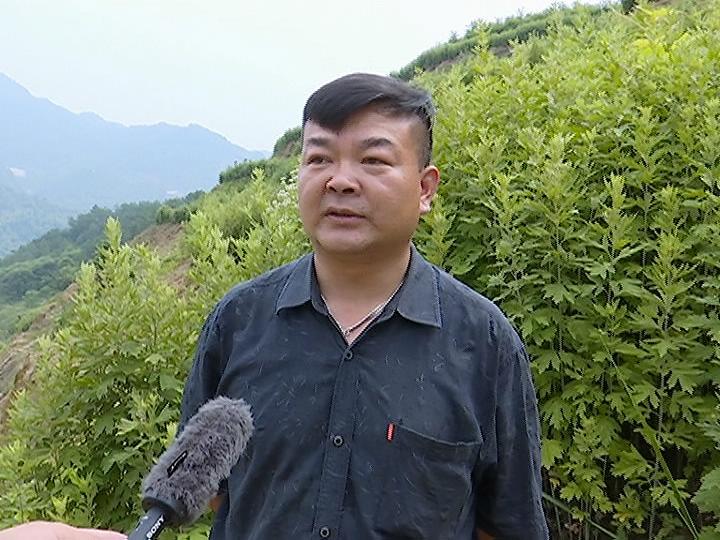 张榜镇引进能人力促高质量发展