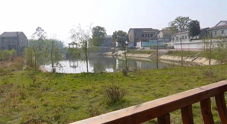 暗访彭思镇美丽乡村创建实况