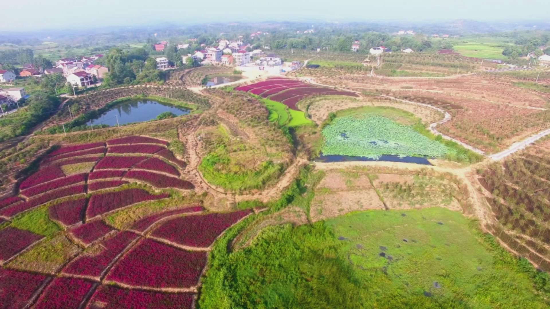 彭思镇余凉村:打造美丽乡村升级版 构建生态旅游新格局_云上蕲春