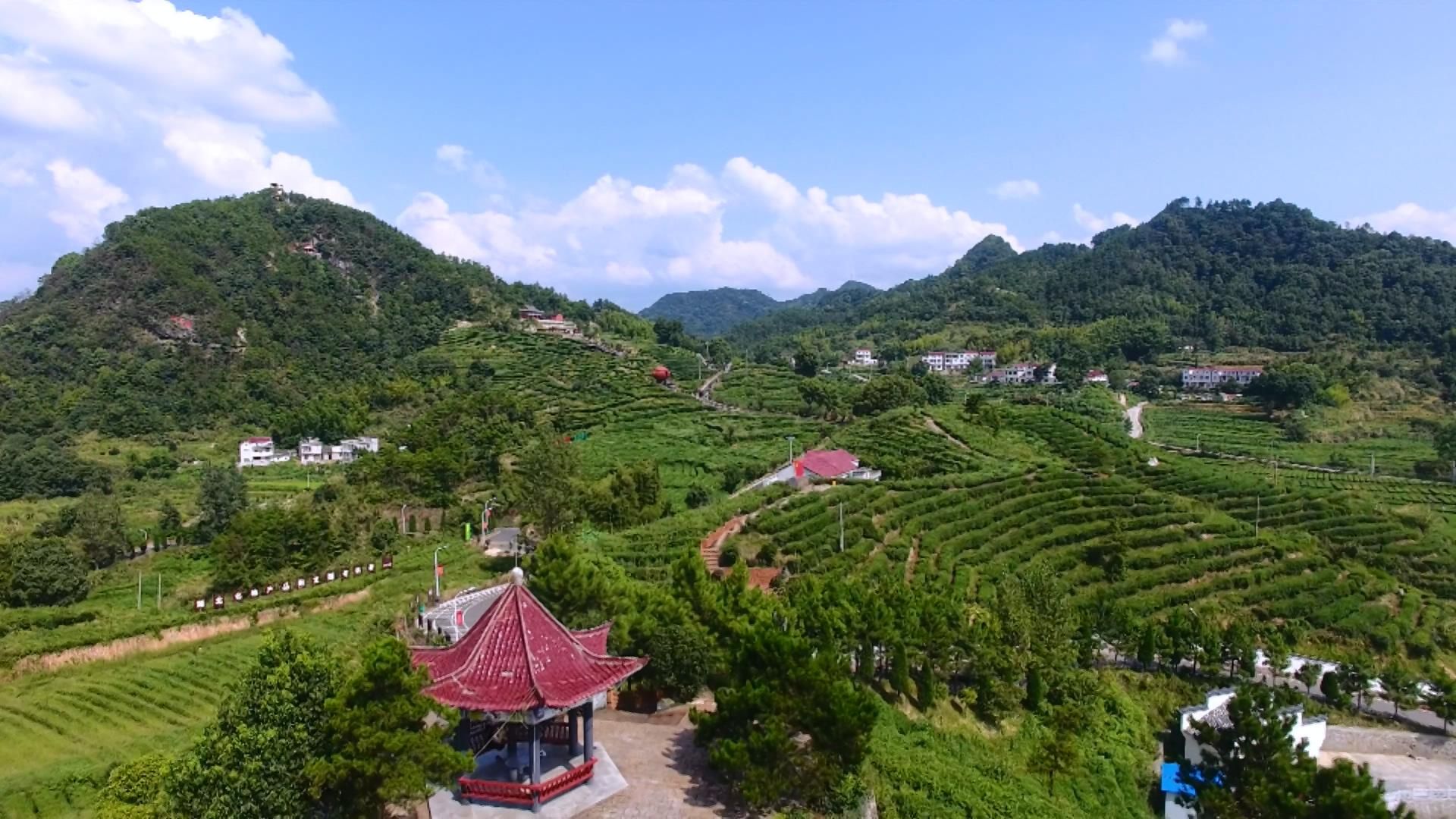 大同镇:坚持绿色发展 筑梦乡村振兴_云上蕲春