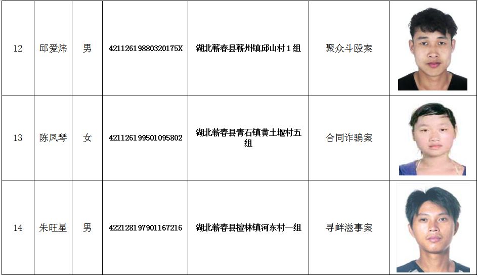 逃亡不是出路,在逃人員一日不到案,蘄春警方的追逃工作一日不會停止!