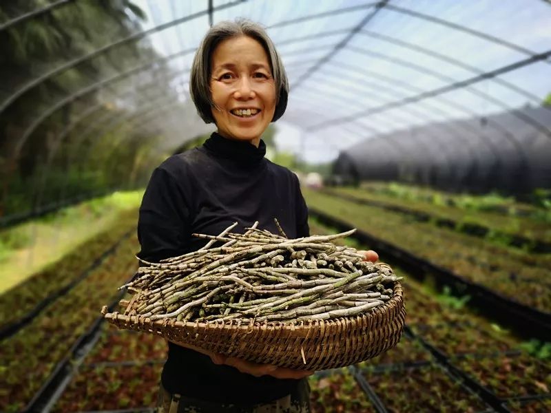 蕲春的这位女山大王她给自己的每个山头都取了一个特有的名字
