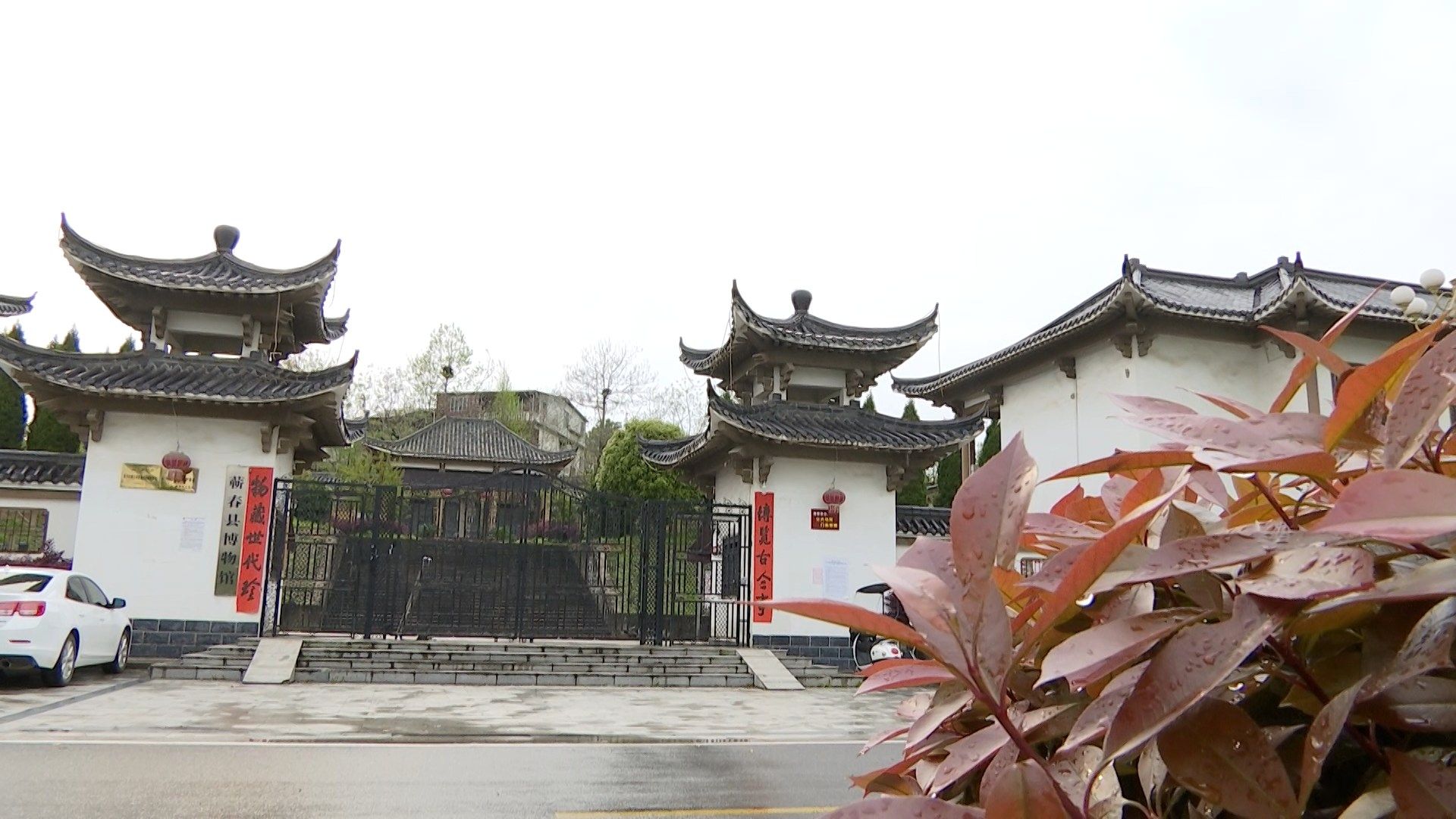 视频丨县博物馆征集抗击疫情资料实物_云上蕲春