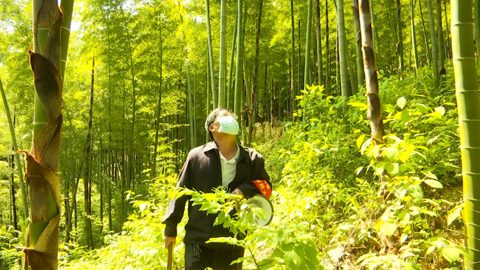 视频护林员节日坚守岗位守护森林防火安全