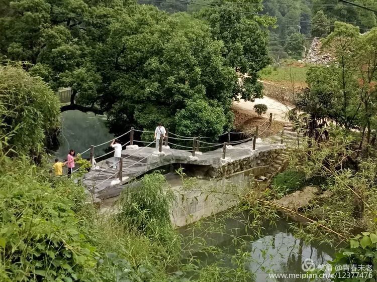 我们相信,在不久的将来,随着乡村振兴战略的全面实施,王冲村将越来越