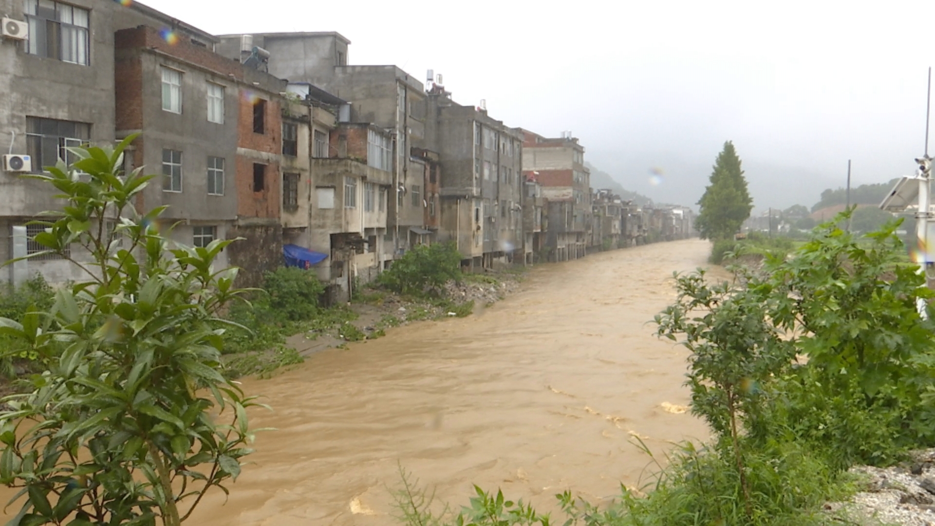 视频丨张榜镇防汛抗灾两手硬