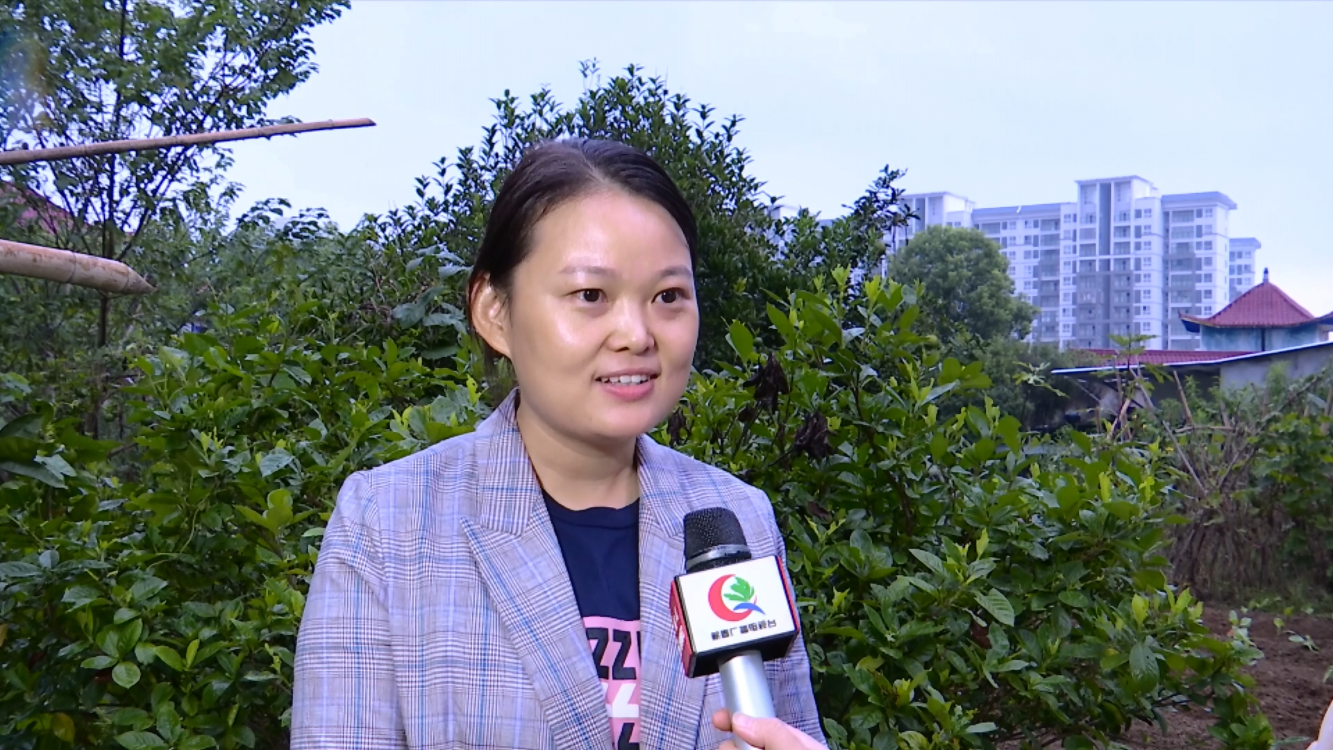 视频丨田晓燕兢兢业业工作实实在在做人