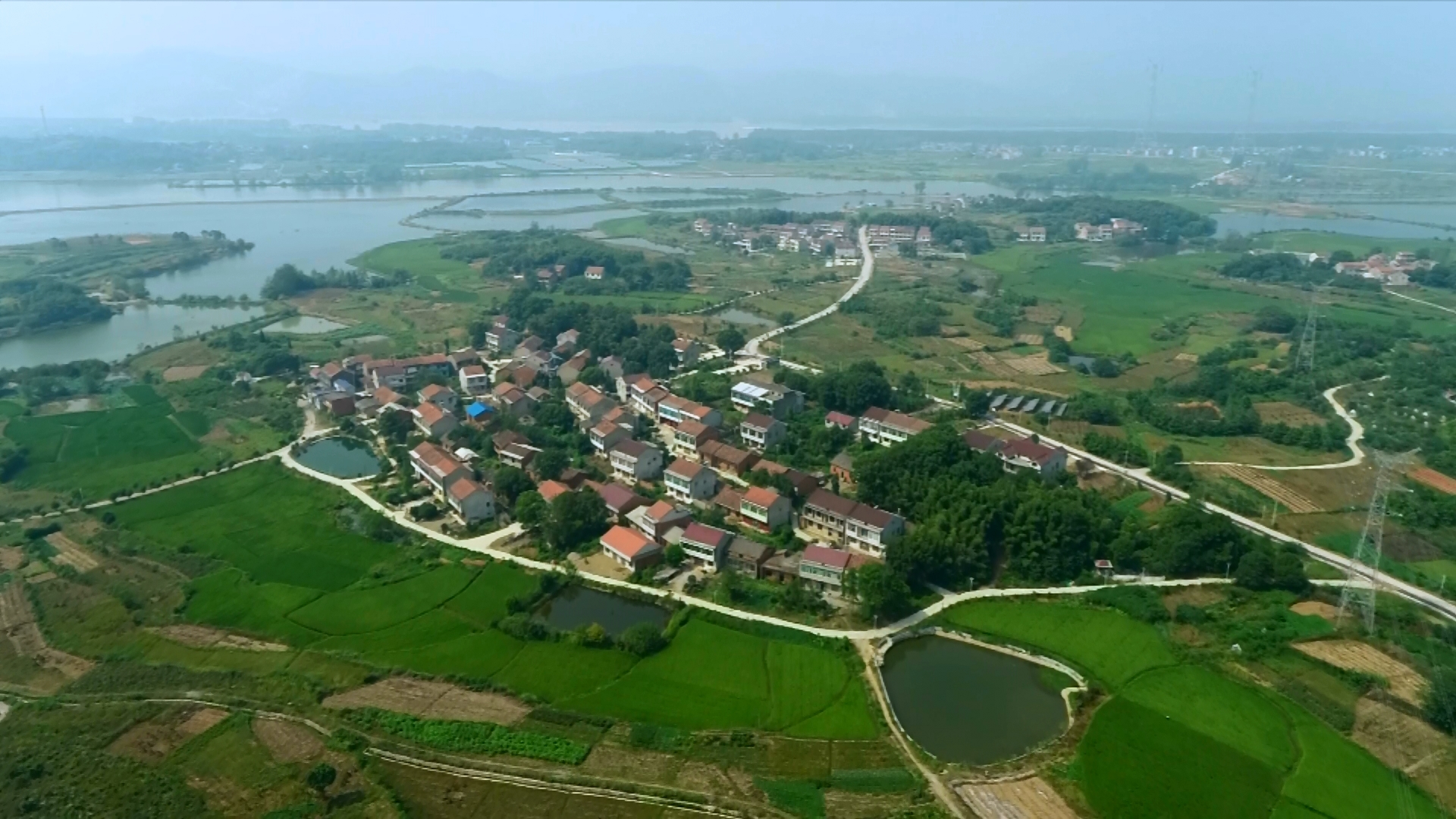 视频丨蕲州镇韦庄村特色农业绘就发展蓝图生态宜居铺成小康底色