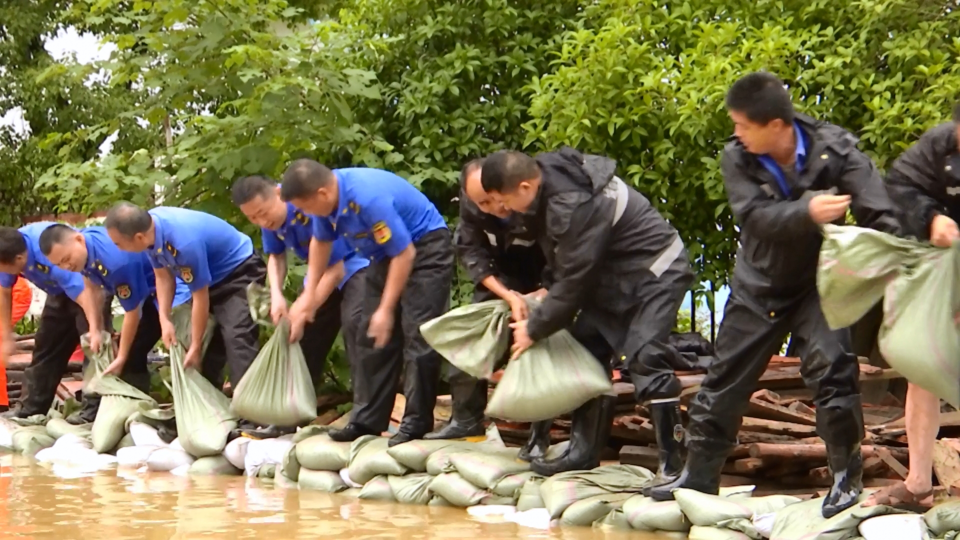 视频丨党旗插在大堤上守护安全保安澜