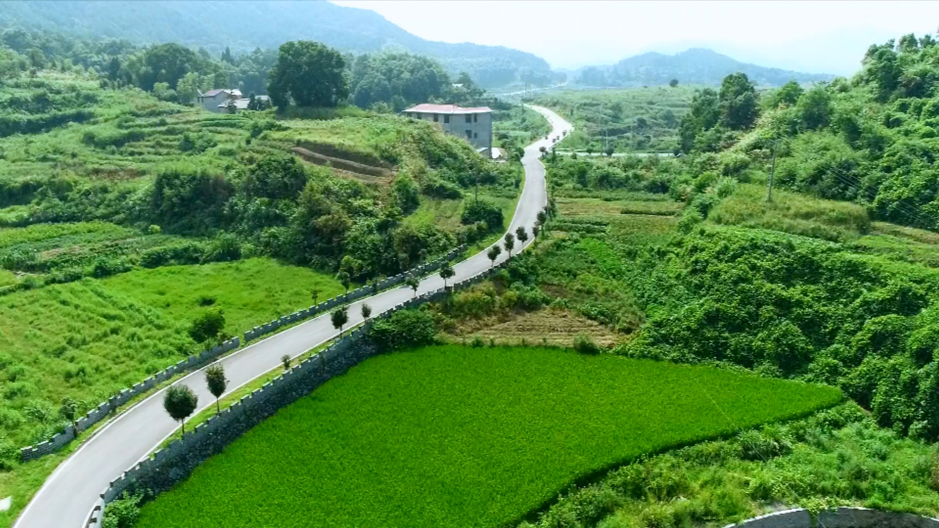 视频丨漕河镇飞跃村挪穷窝育产业奔小康