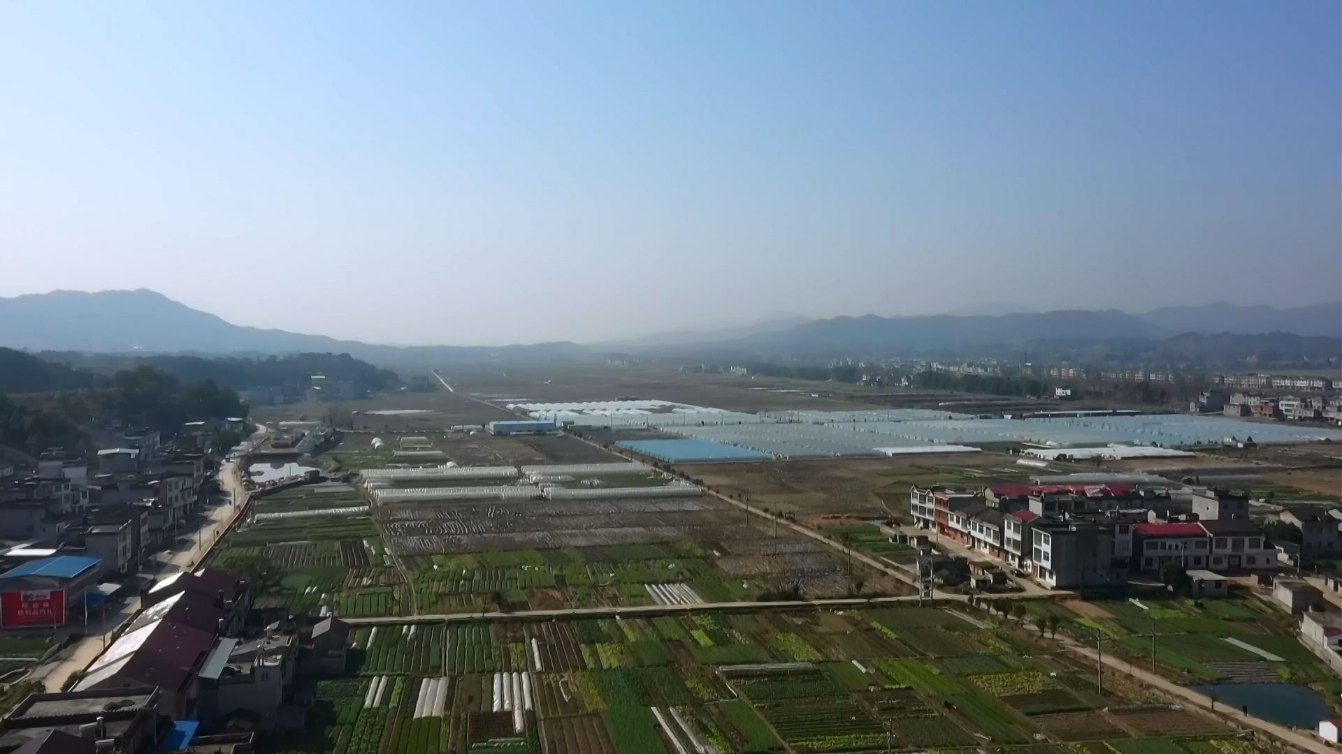 视频|张榜镇横路村:特色产业带富一方百姓 _云上蕲春