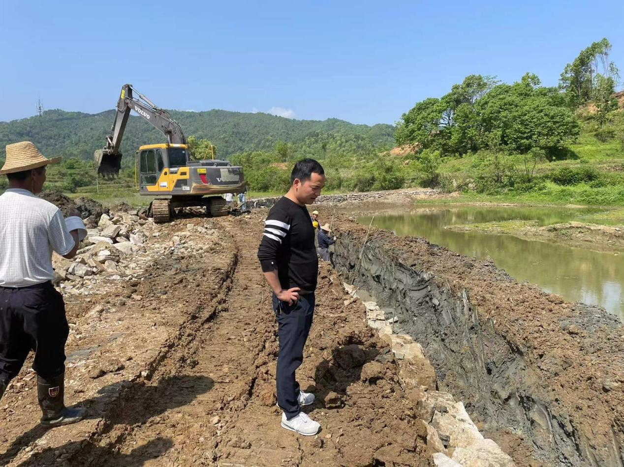 湖北蕲春青石镇恶霸图片