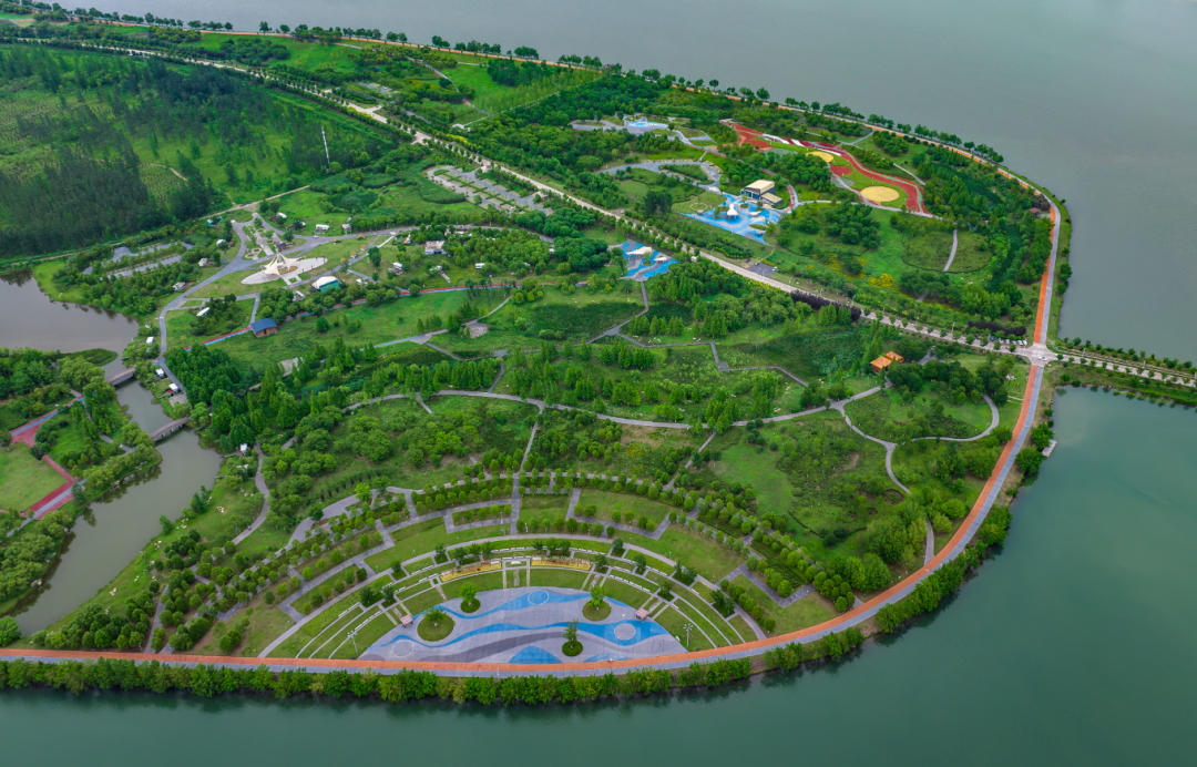 杨东.png