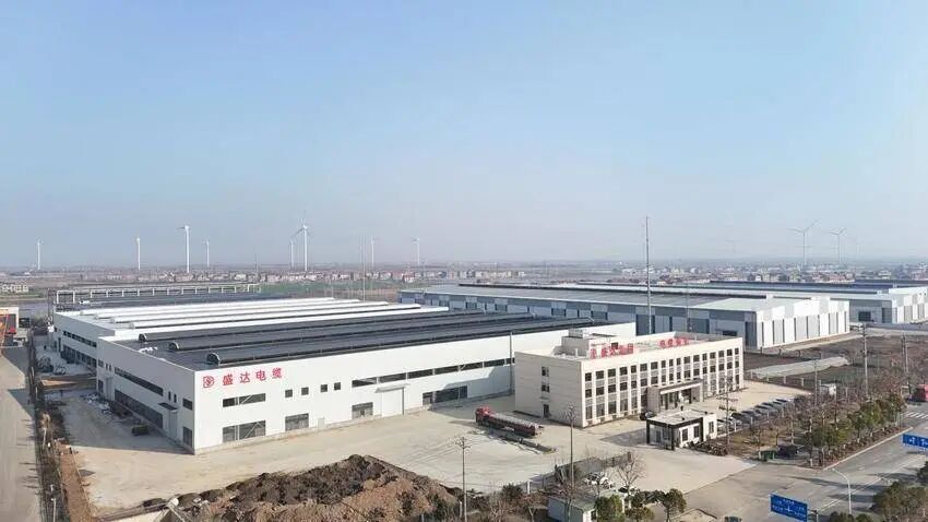 奋力项目建设年 推进四大攻坚行动丨链聚项目强引擎 攻坚实干启新程(11)(2).docx