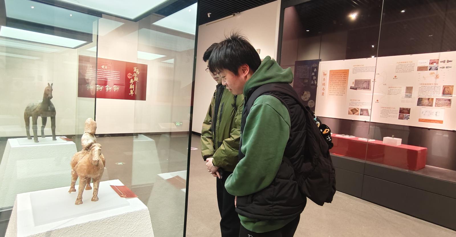 上海游客观看“策马扬鞭奔新年——十二生肖迎新春系列特展”。