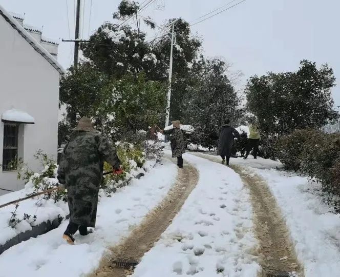 以雪為令聞雪而動停前鎮鎮村幹部與風雪同行為群眾保駕護航