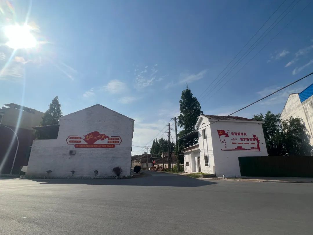 分片整治 多村协作 孔垄镇街道人居环境整治措施实效果好_云上黄梅