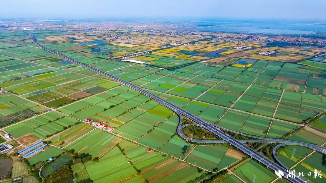 嘉鱼县潘家湾镇十里蔬菜长廊,一望无垠、生机盎然。湖北日报全媒记者魏铼摄.jpg