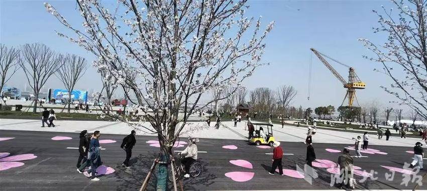 汉马终点青山江滩