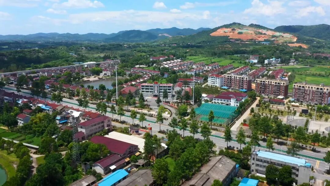 周润卿+【奋进火红五月+礼赞劳动荣光】董振兴:扎根乡村二十载+实干担当促振兴+(1).mp4_snapshot_02.39.320.jpg