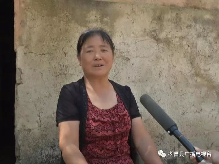 孝昌丰山镇依托两区九园发展模式着力打造旅游名镇