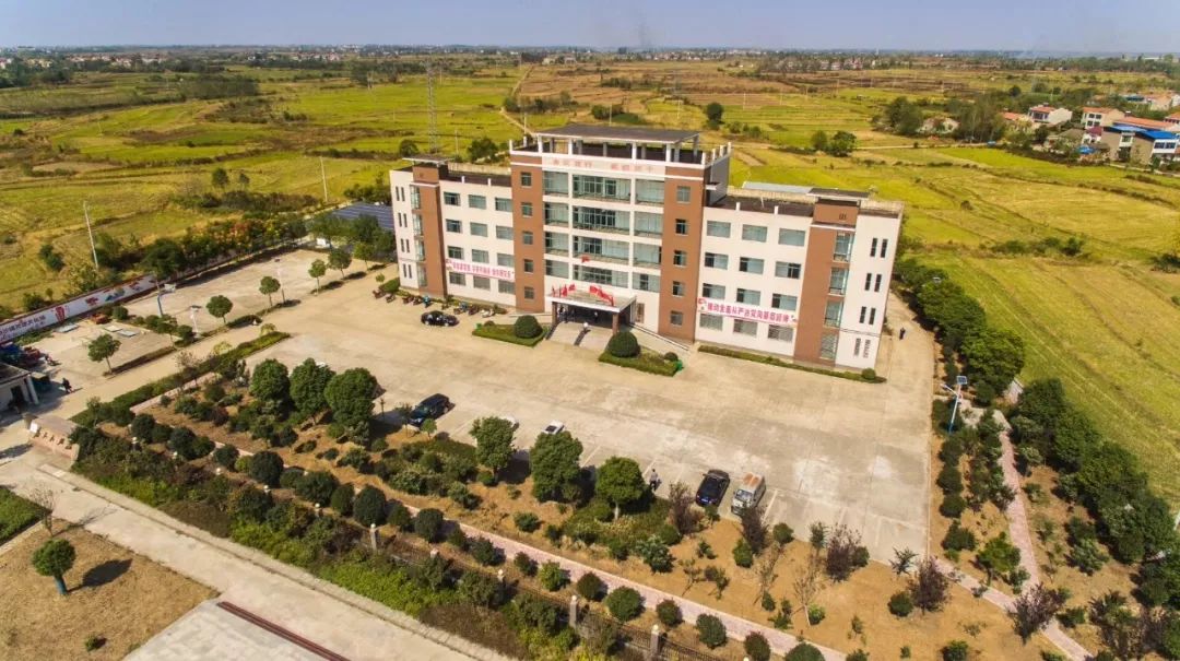 美哭了孝昌最美秋色随便一拍就是大片