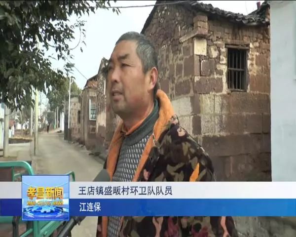 赞美丽乡村建设让王店镇盛畈村大变样