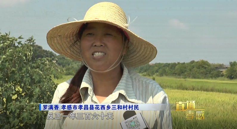 孝感市孝昌縣花西鄉三和村村民 羅滿香:反正一年三百六十五天,他都沒