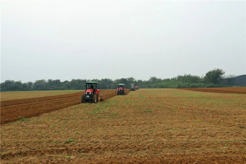 秋播正当时油菜播种忙