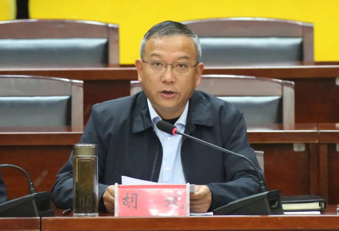 县委书记吴琼讲话