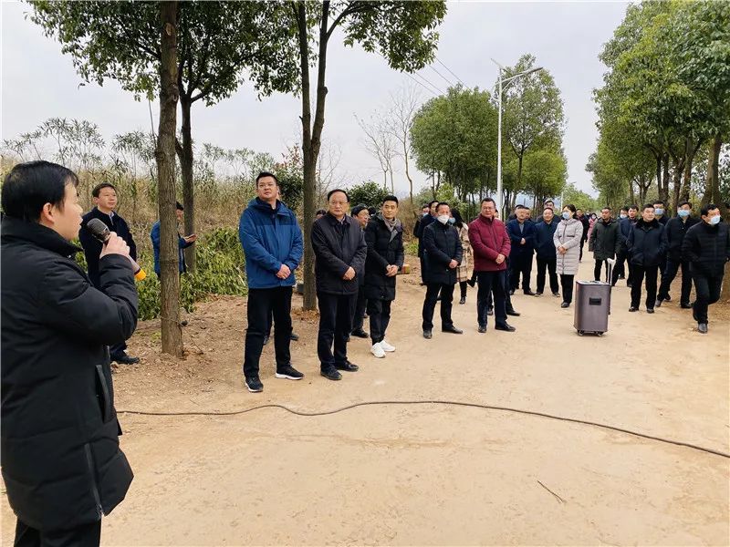 陡山鄉:朝暉生態茶葉順心基地朝暉生態茶葉順心基地是孝昌縣朝暉生態