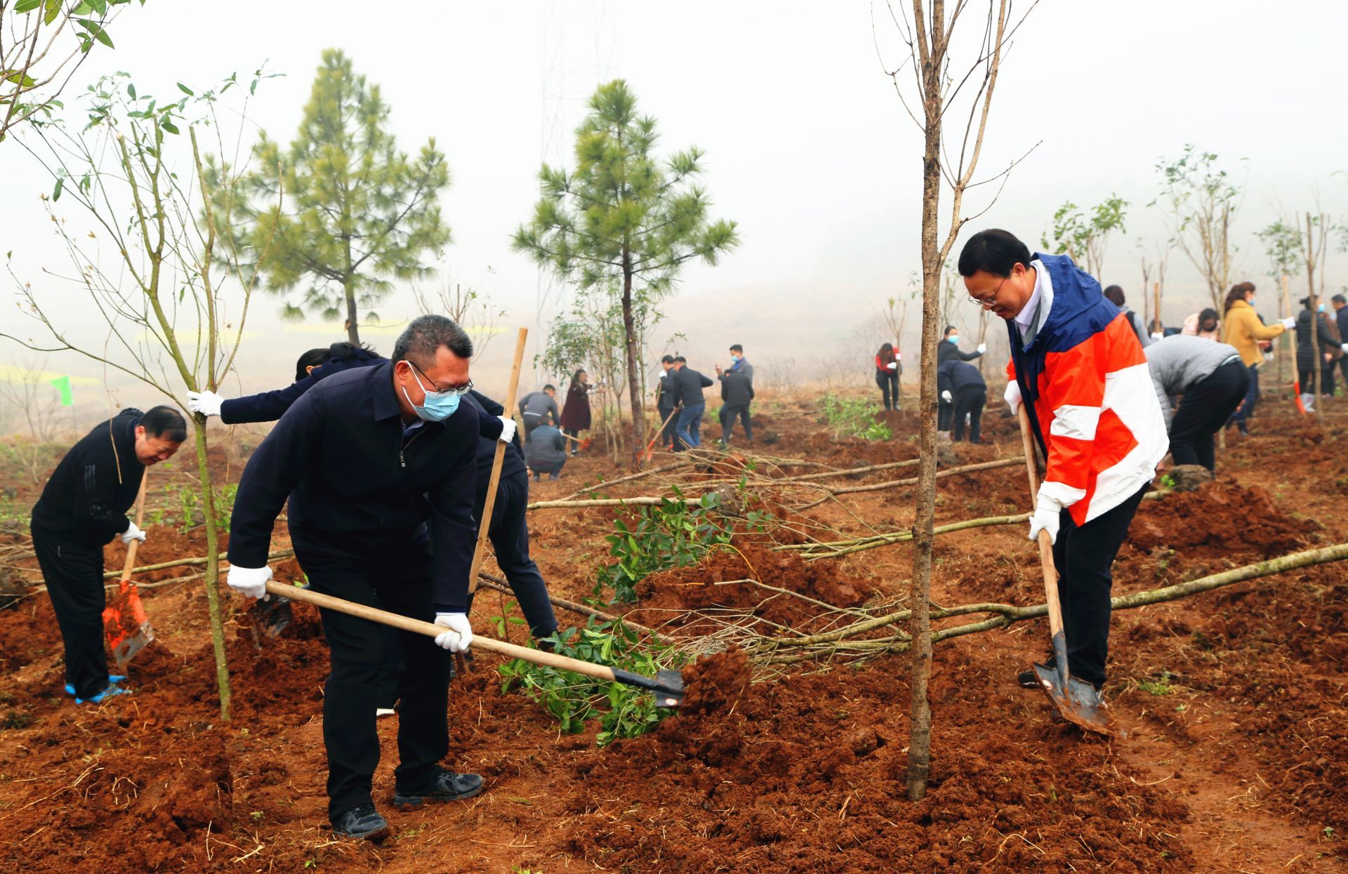 厚植绿色生态底色孝昌全面掀起植树造林热潮
