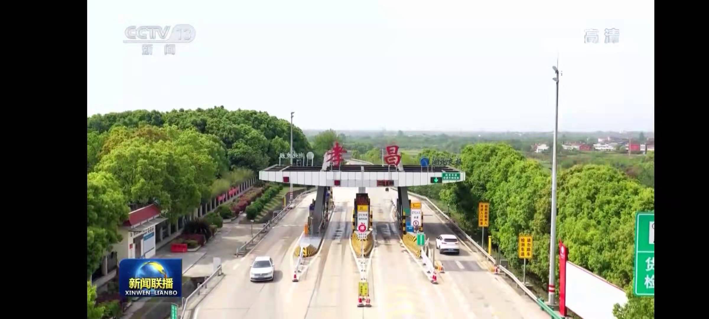 景观花卉卖到全国各地把山区苗木紧邻高速的孝昌县发展绿色产业跨过